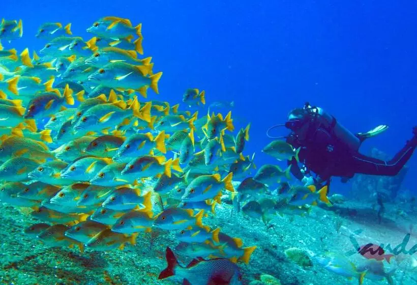 Fotos del hotel Sandals Royal Caribbean  All Inclusive Couples Only:  5