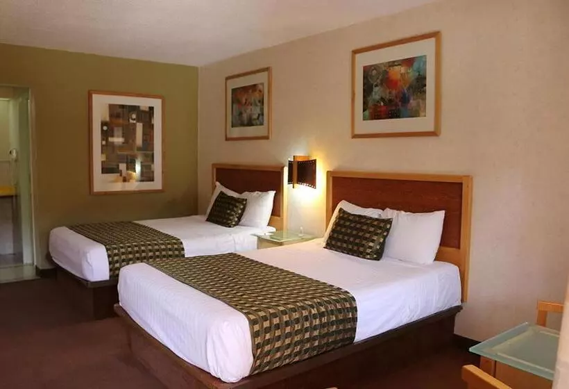 Fotos del hotel Colonial Ciudad Juarez:  24