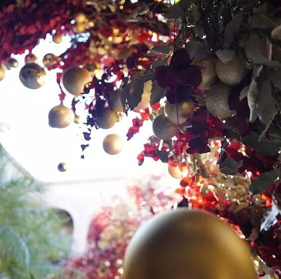 Fotos del hotel De La Soledad:  11