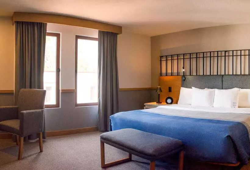 Fotos del hotel Hacienda Jurica By Brisas:  19