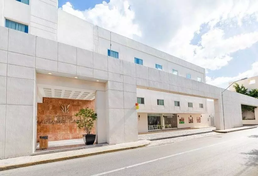 Fotos del hotel Maria Del Carmen:  10