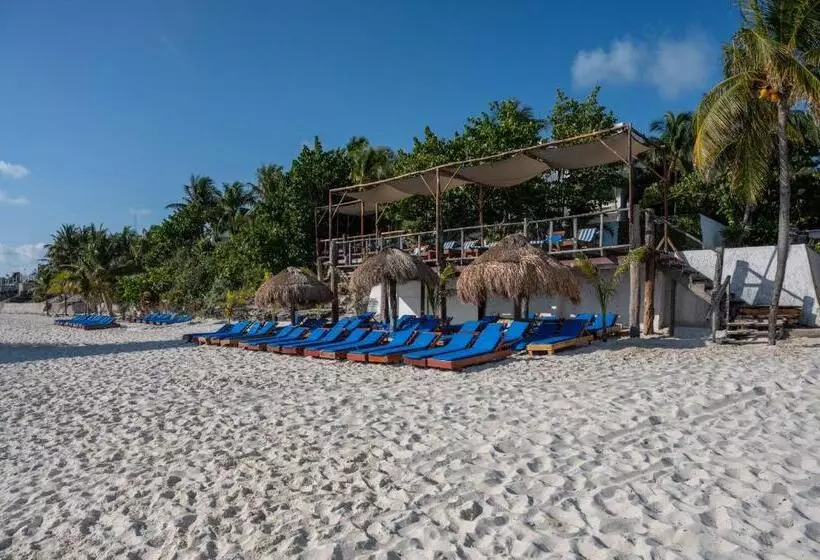 Fotos del hotel Maya Caribe Faranda Cancún:  27