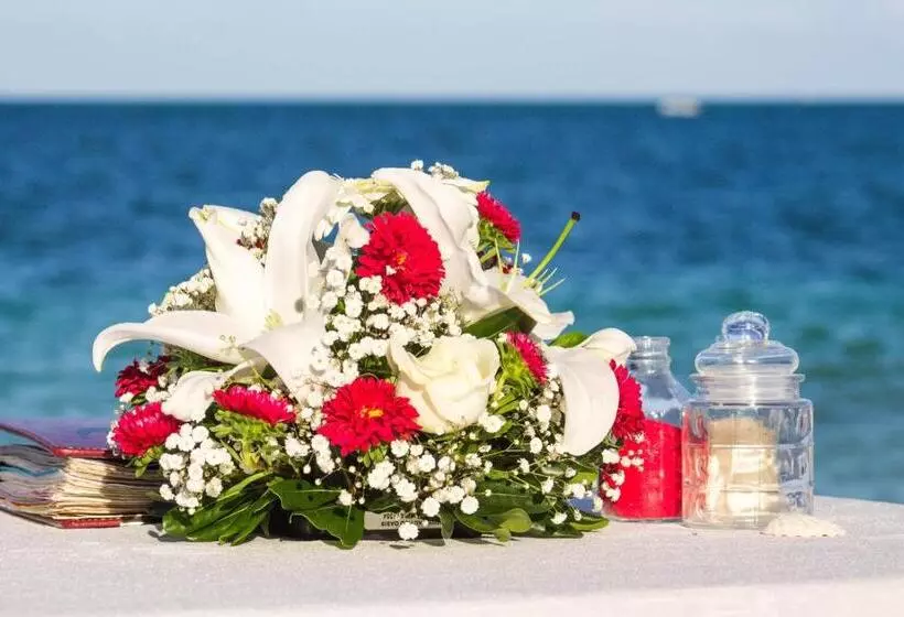 Fotos del hotel Maya Caribe Faranda Cancún:  16