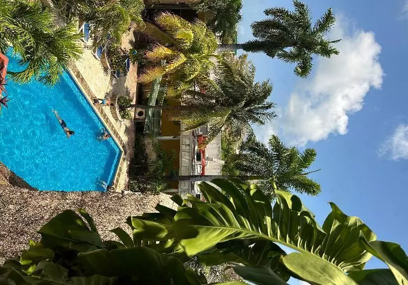 Fotos del hotel Plaza Caribe:  7