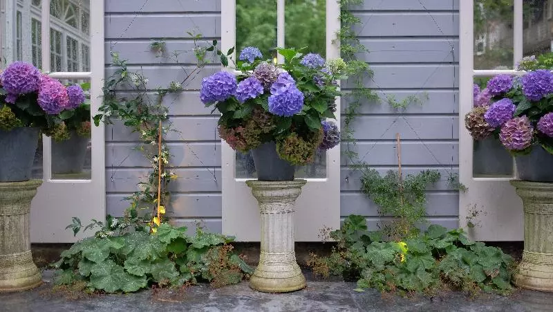 Fotos del hotel Apollofirst Boutique:  8