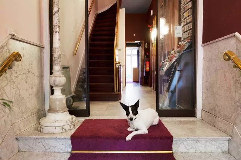 Fotos del hotel The Neighbour's Magnolia:  5