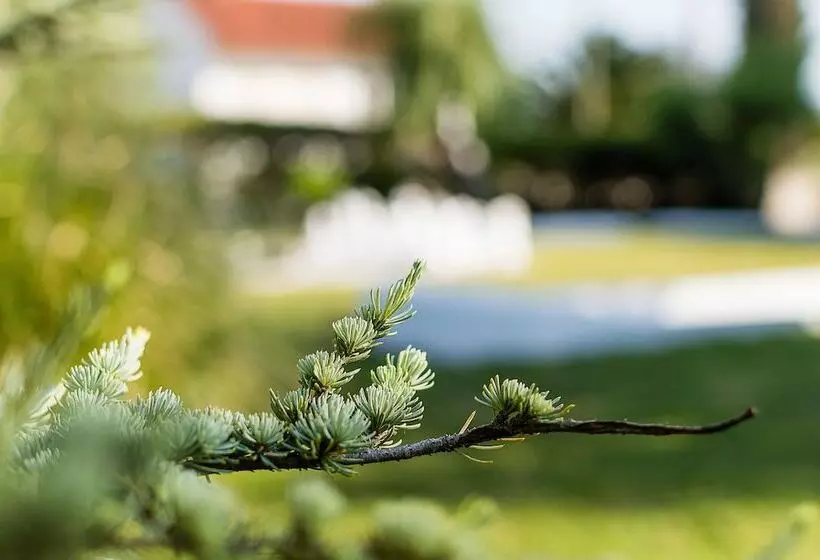 Fotos del hotel Casa Da Padeira:  12