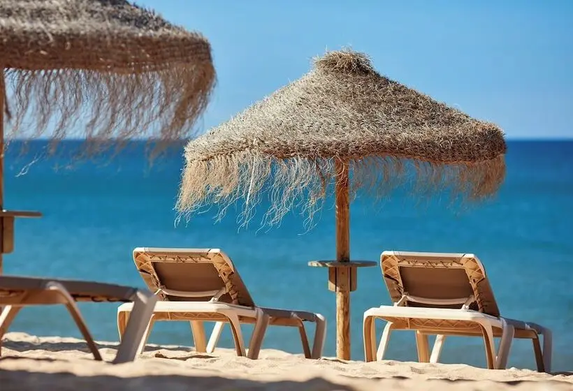 Fotos del hotel Dom Jose Beach Hotel (plus):  24