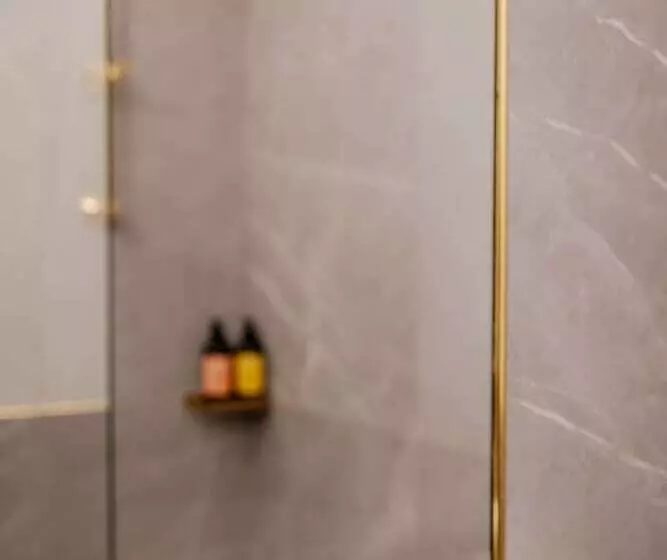 Fotos del hotel Francuski:  73