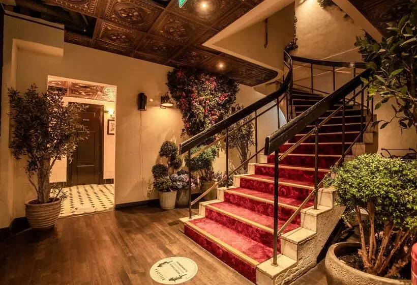 Fotos del hotel & Ristorante Bellora:  2