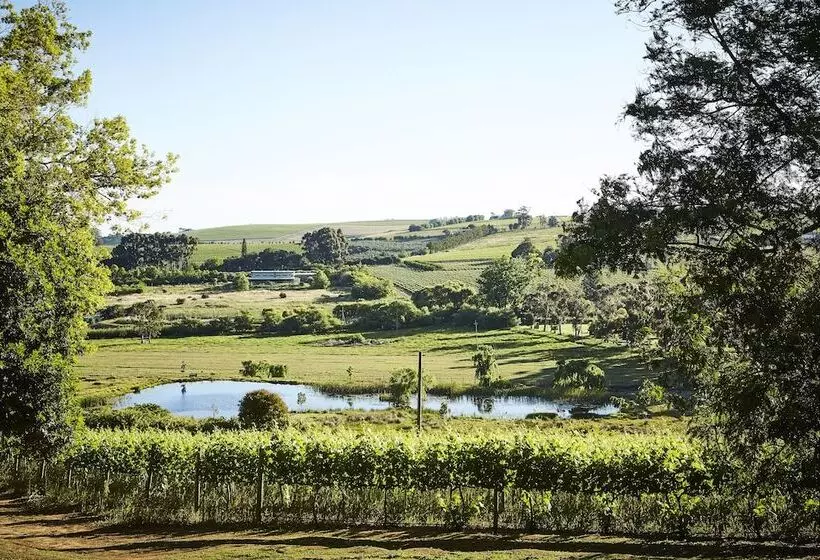 Fotos del hotel The Devon Valley Hotel:  18