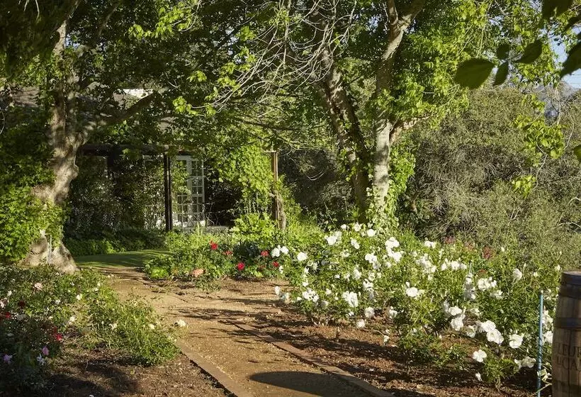 Fotos del hotel The Devon Valley Hotel:  7