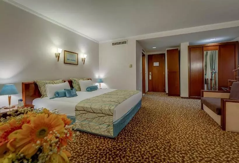 Fotos del hotel Best Western Plus Khan:  10