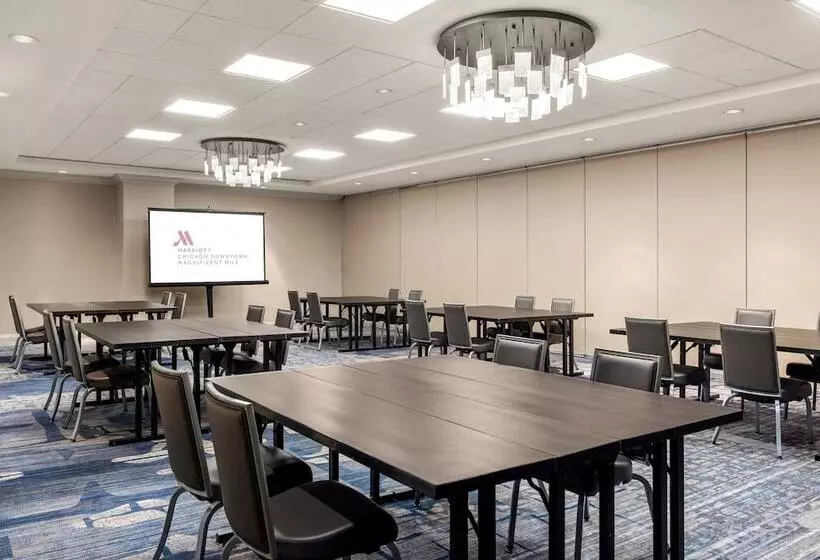 Fotos del hotel Chicago Marriott Downtown Magnificent Mile:  3