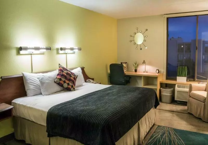 Fotos del hotel Hotel 502:  12