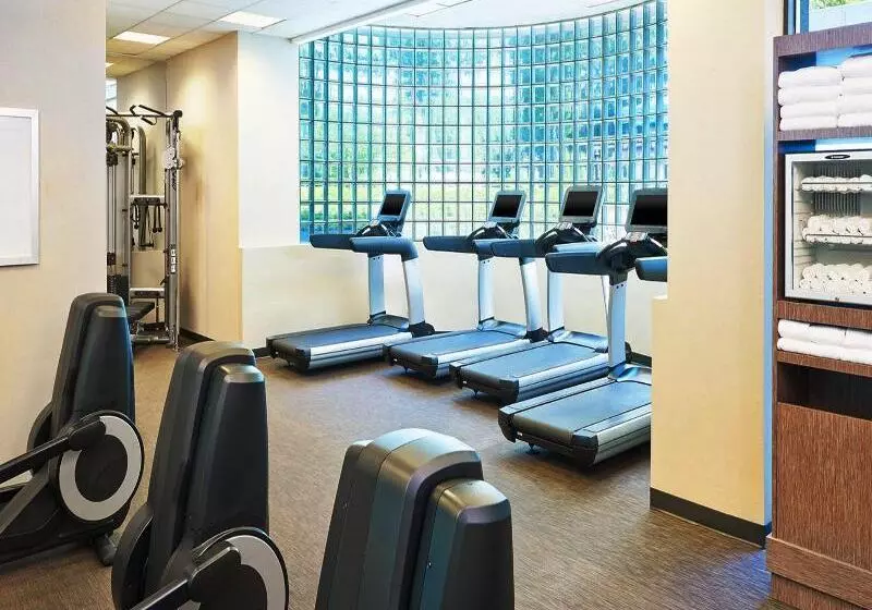 Fotos del hotel The Westin Atlanta Perimeter North:  4