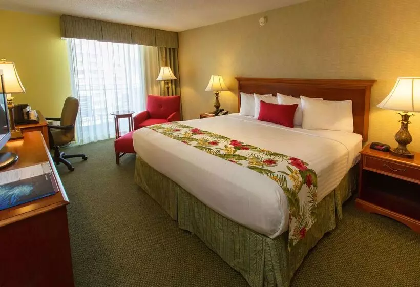 Fotos del hotel Ramada Plaza By Wyndham Waikiki:  17