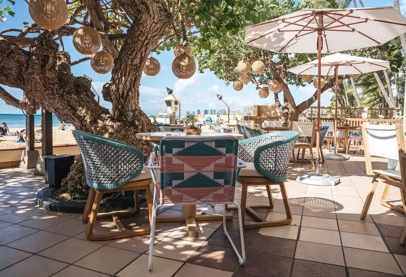 Fotos del hotel Kaimana Beach:  4