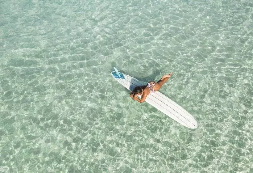 Fotos del hotel Kaimana Beach:  6