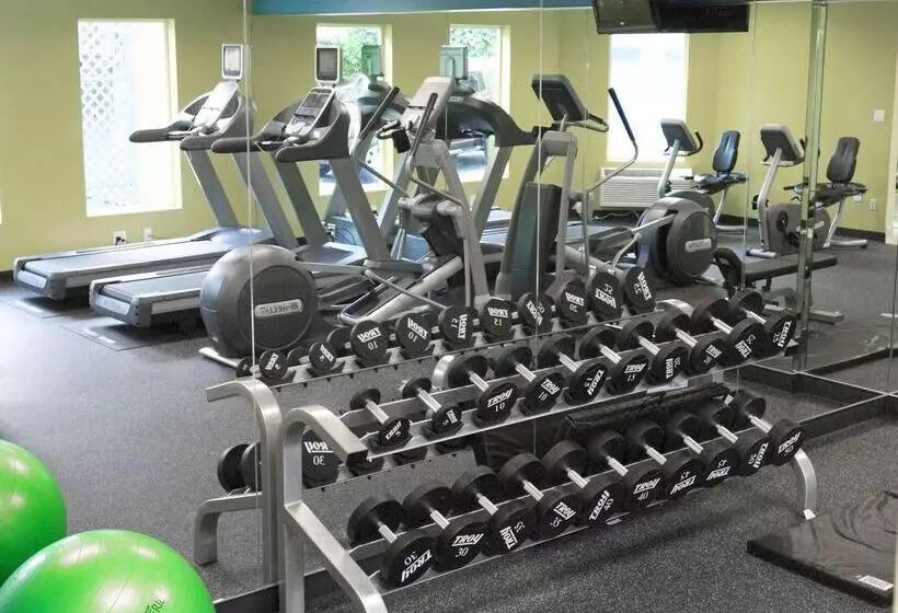 Fotos del hotel Nexus; Bw Signature Collection:  4