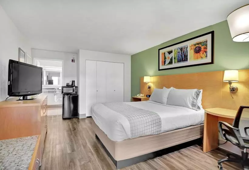 Fotos del hotel Nexus; Bw Signature Collection:  21