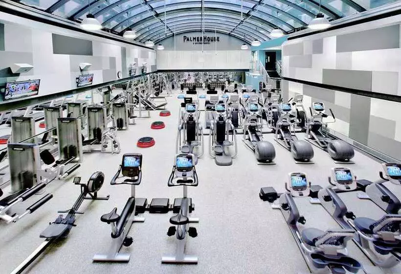 Fotos del hotel The Palmer House Hilton:  10