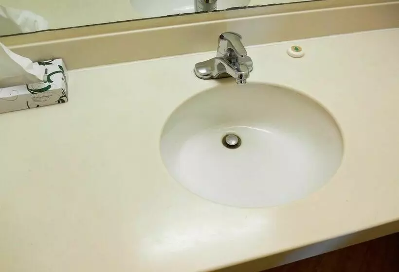 Fotos del hotel Motel 6 Houston Medical Center Reliant Park - Houston:  9