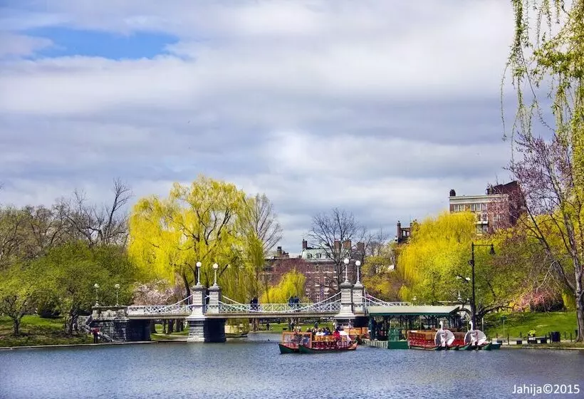 Fotos del hotel The Colonnade:  23