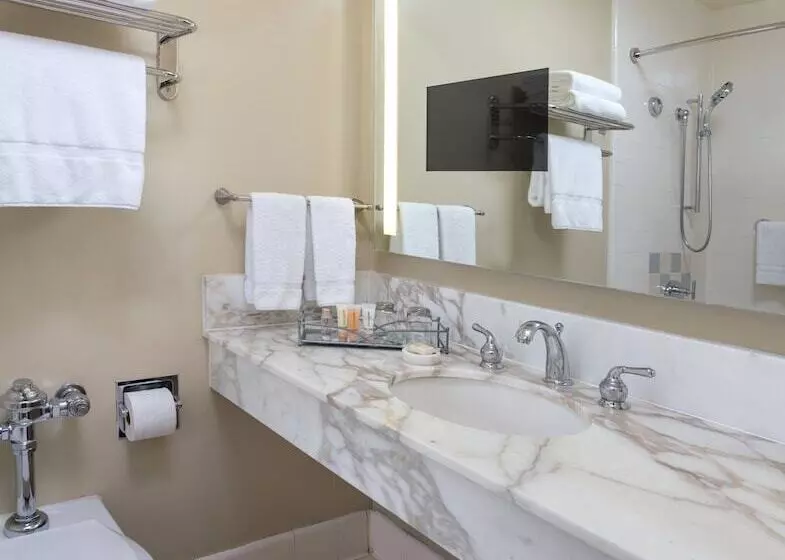 Fotos del hotel The Donatello:  9