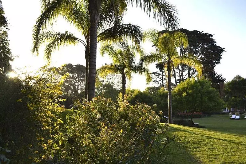 Fotos del hotel L Auberge:  15