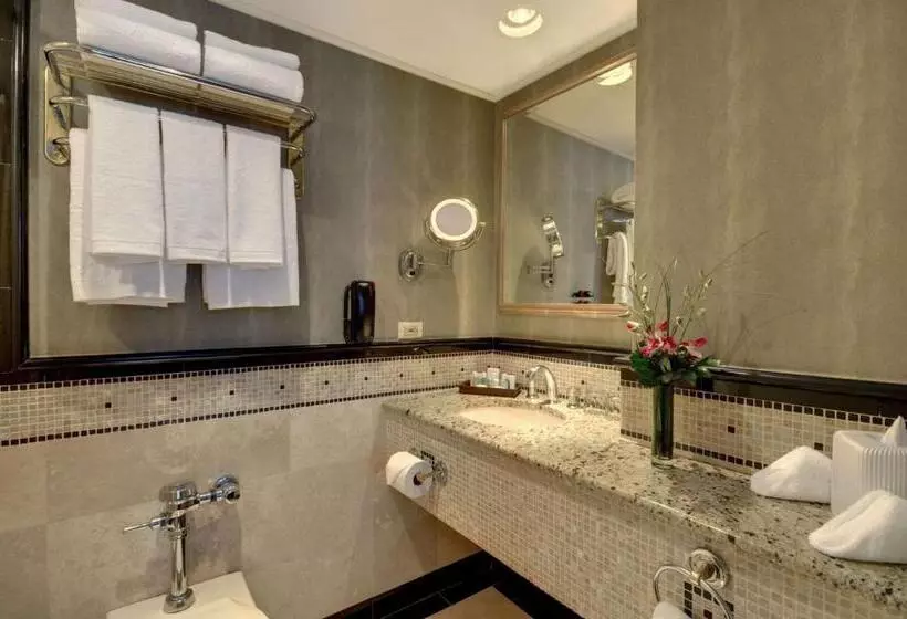 Fotos del hotel The Whitehall Hotel:  6