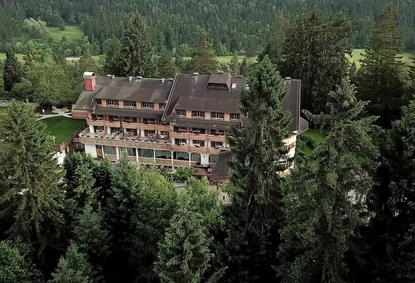 Fotos del hotel Ribno Superior:  9