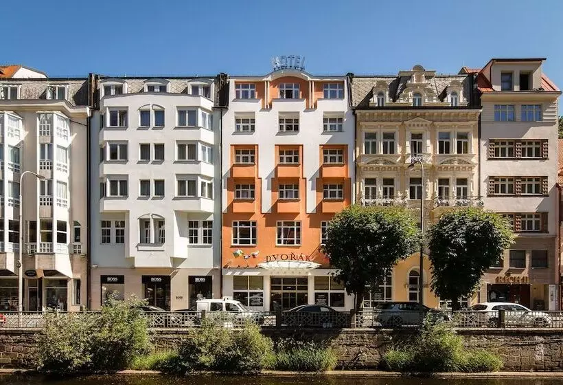 Fotos del hotel Dvorak Spa & Wellness:  3