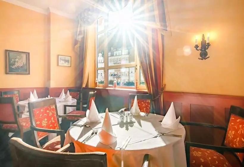 Fotos del hotel Dvorak Spa & Wellness:  22