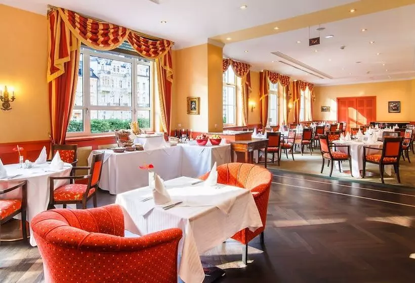 Fotos del hotel Dvorak Spa & Wellness:  24