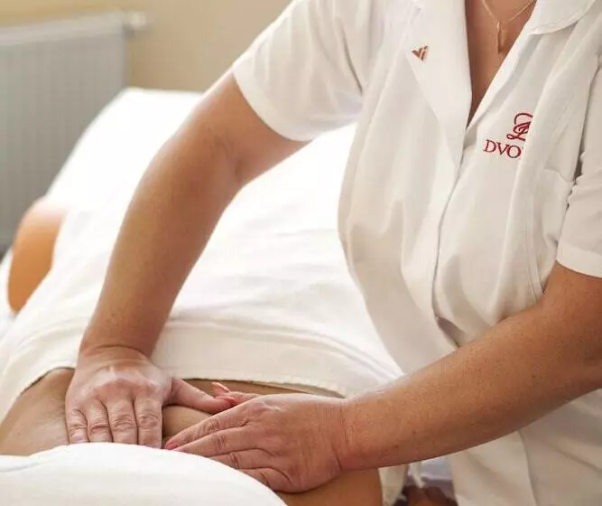 Fotos del hotel Dvorak Spa & Wellness:  28