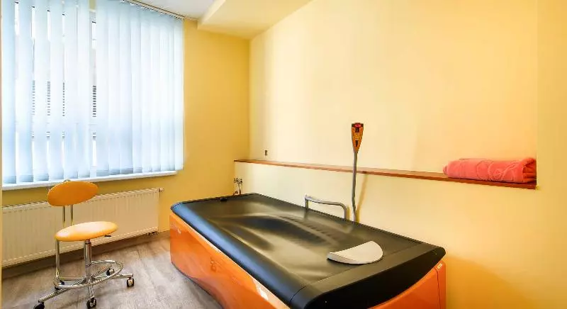 Fotos del hotel Dvorak Spa & Wellness:  65