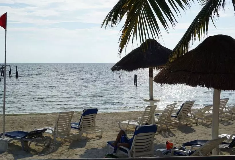 Fotos del hotel Imperial Las Perlas:  8