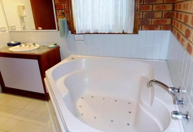 Fotos del hotel Victoriana Motor Inn:  16