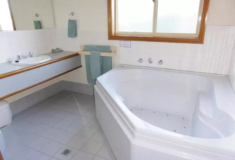 Fotos del hotel Victoriana Motor Inn:  18