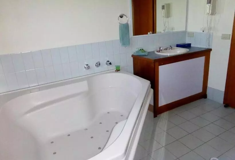 Fotos del hotel Victoriana Motor Inn:  14