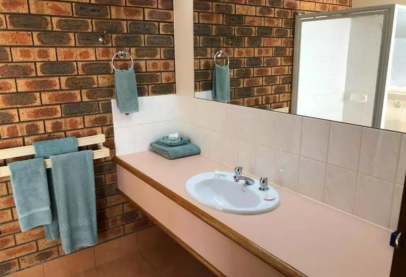 Fotos del hotel Victoriana Motor Inn:  12