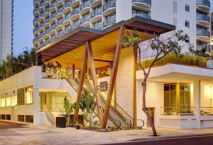 The Laylow, Autograph Collection