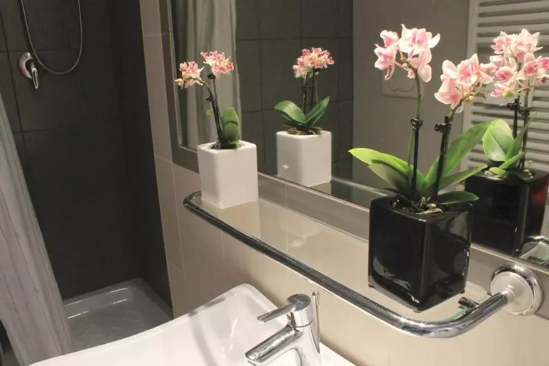 Fotos del hotel Villa Delle Rose:  6