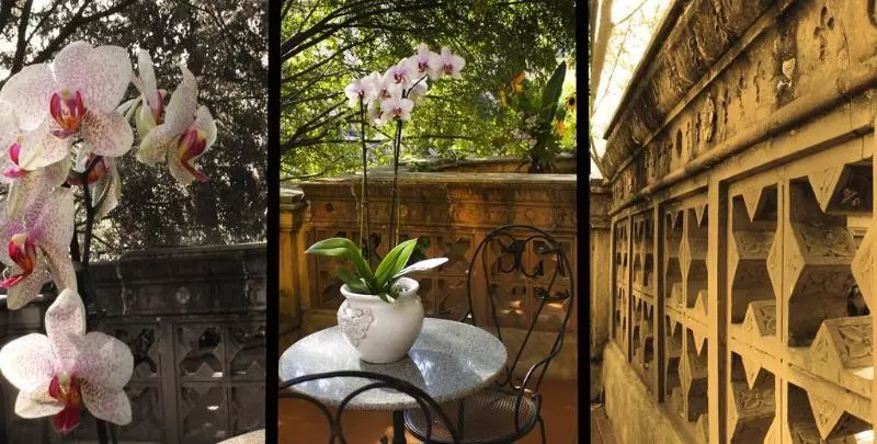 Fotos del hotel Villa Delle Rose:  12