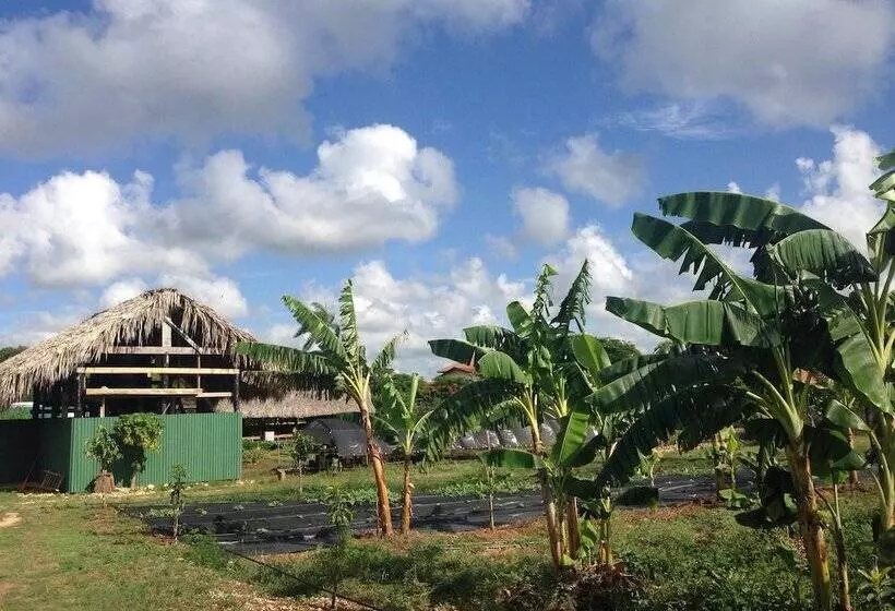 Fotos del hotel Caserma La Romanabayahibe:  7