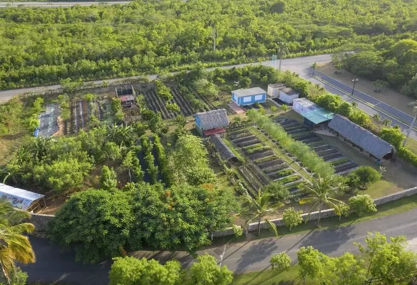 Fotos del hotel Caserma La Romanabayahibe:  19