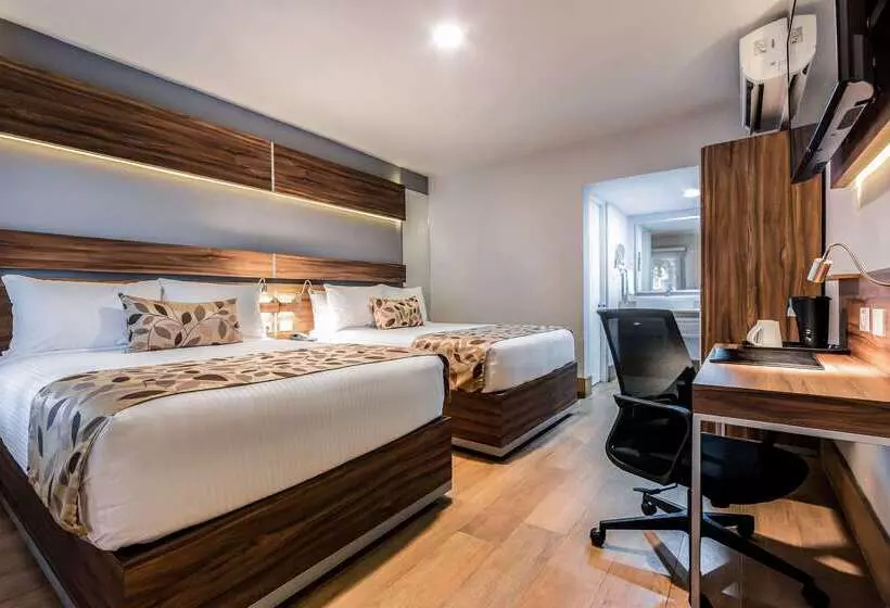 Fotos del hotel Sleep Inn Monterrey Norte:  15