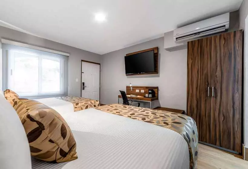 Fotos del hotel Sleep Inn Monterrey Norte:  22