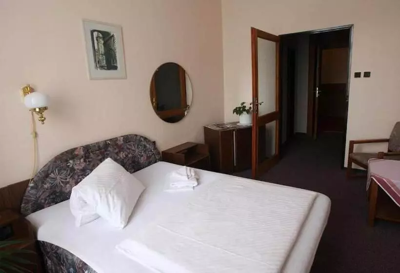 Fotos del hotel Slovan Plze?:  2